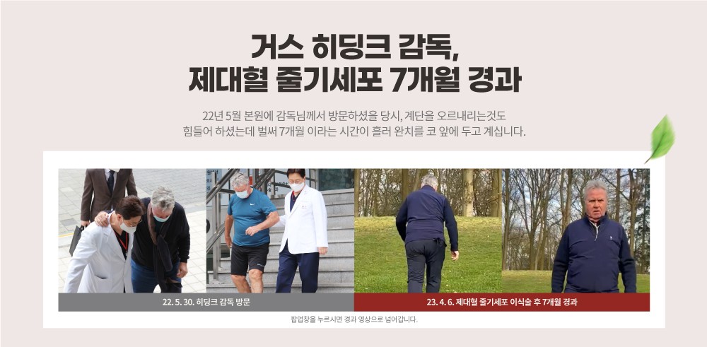 히딩크 감독 제대혈 줄기세포 이식술 7개월 경과